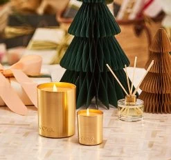 Festive Holliday Collection Goldie 460g Candle Fresh Pine -Home Furnishings ecoya holidaycollectiongoldiefreshpine460gcandle3