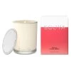 Madison 400g Jar Candle Guava And Lychee Sorbet -Home Furnishings ecoyass17 madisoncandleguavaandlychee