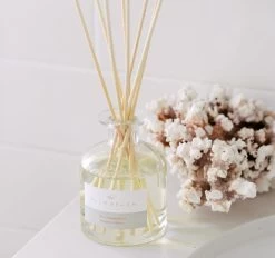 Reed Diffuser 250ml Clove And Sandalwood 7 Reed Diffuser 250ml Clove And Sandalwood -Home Furnishings pb diffuser250ml3 c634975d 3647 40f4 8f05 171ffd211e96