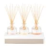 Mini Diffuser 50ml Gift Set 3 Pack -Home Furnishings pb minidiffuser50mlgiftset3pk2