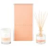 Mini Candle 90g And Mini Reed Diffuser 50ml Gift Set Watermelon -Home Furnishings pb minisetwatermelon