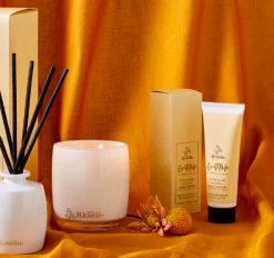 Scented Offerings 400gm Candle Gratitude -Home Furnishings ur solifestyle21 aaab35c7 6b86 49d0 a90b 8db735cdefed