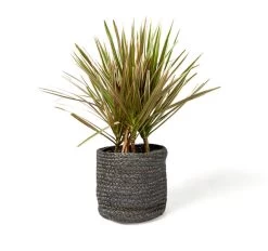 Asher Jute Basket Range Grey -Home Furnishings vdh ashergrey4