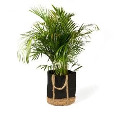 Tava Jute Basket With Handle Range Black 13 Tava Jute Basket With Handle Range Black -Home Furnishings vdh tavabasketlge3