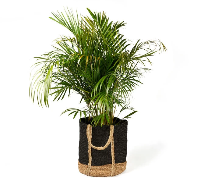 Tava Jute Basket With Handle Range Black 5 Tava Jute Basket With Handle Range Black - Image 3