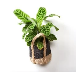 Tava Jute Basket With Handle Range Black 18 Tava Jute Basket With Handle Range Black -Home Furnishings vdh tavabasketsml3