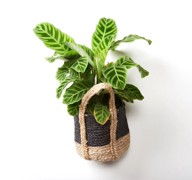 Tava Jute Basket With Handle Range Black 10 Tava Jute Basket With Handle Range Black - Image 8